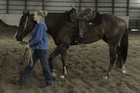Leading A Horse